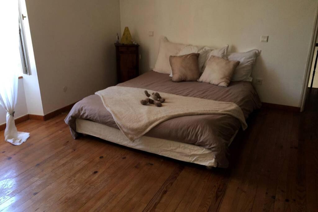 Maison Dream In Marciac Dış mekan fotoğraf
