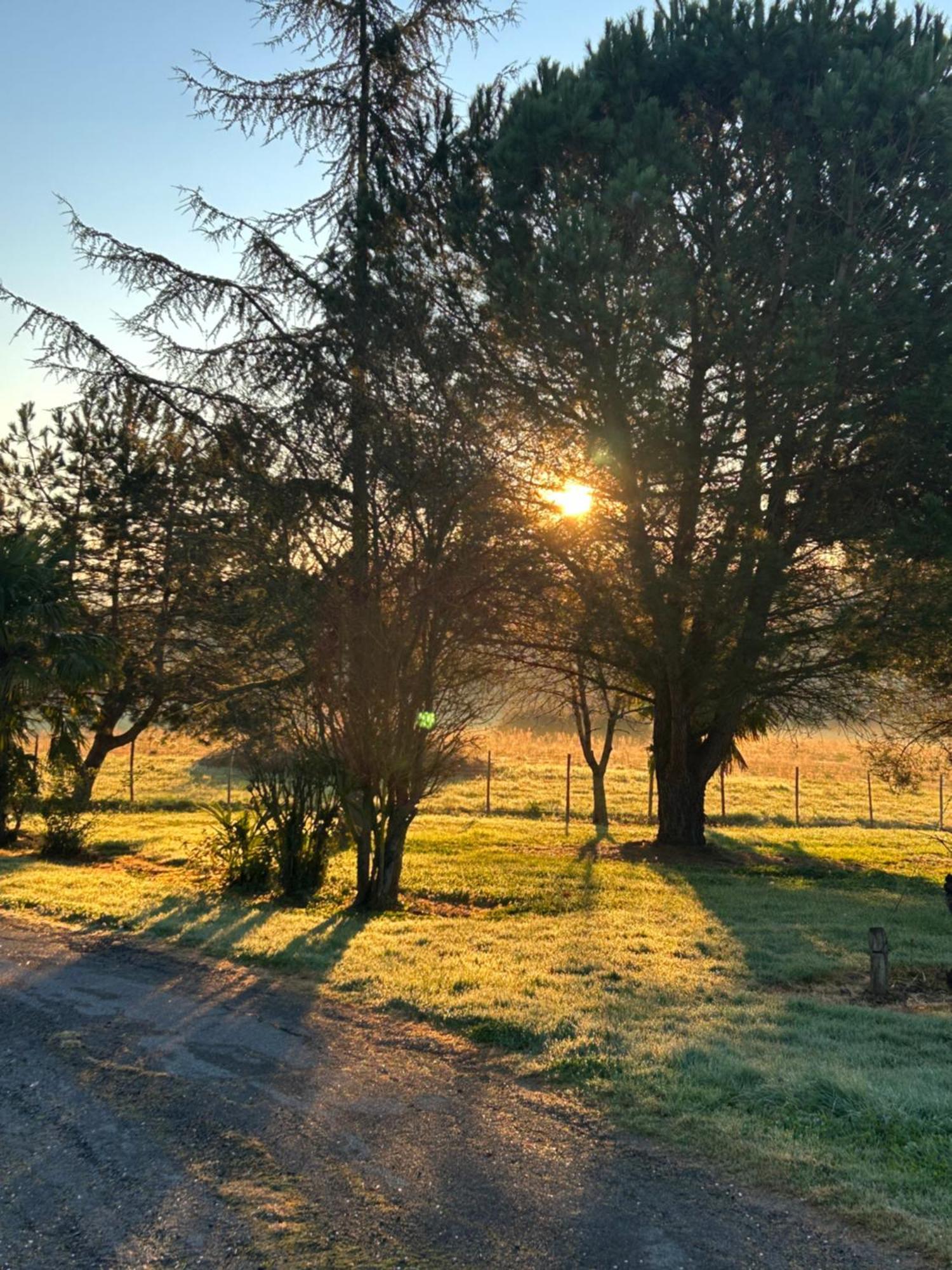 Maison Dream In Marciac Dış mekan fotoğraf